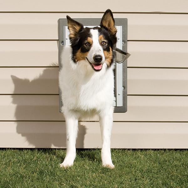 Petsafe wall entry pet shop door with telescoping tunnel