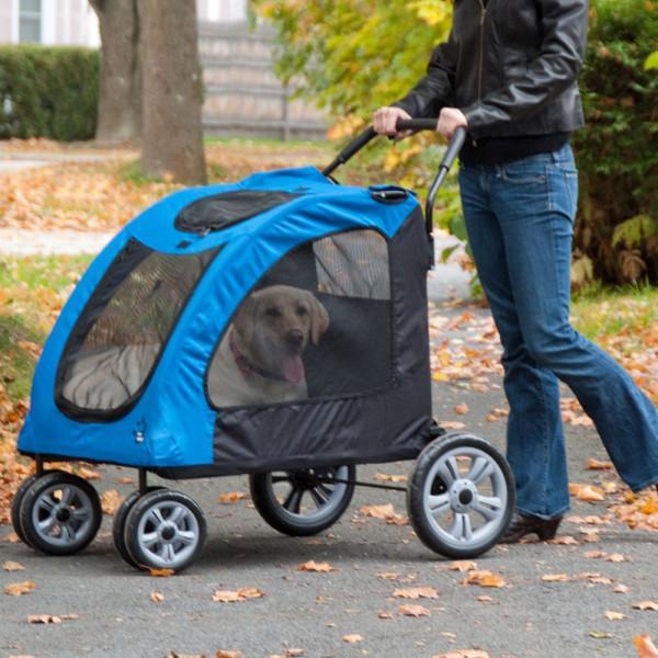 Pet stroller pet gear best sale